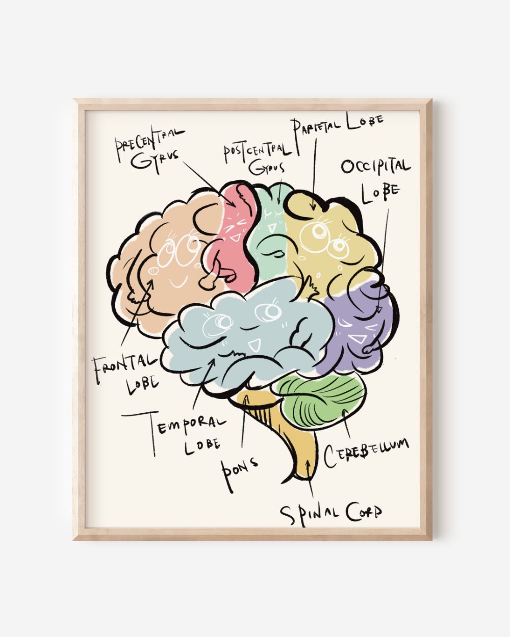 Brain