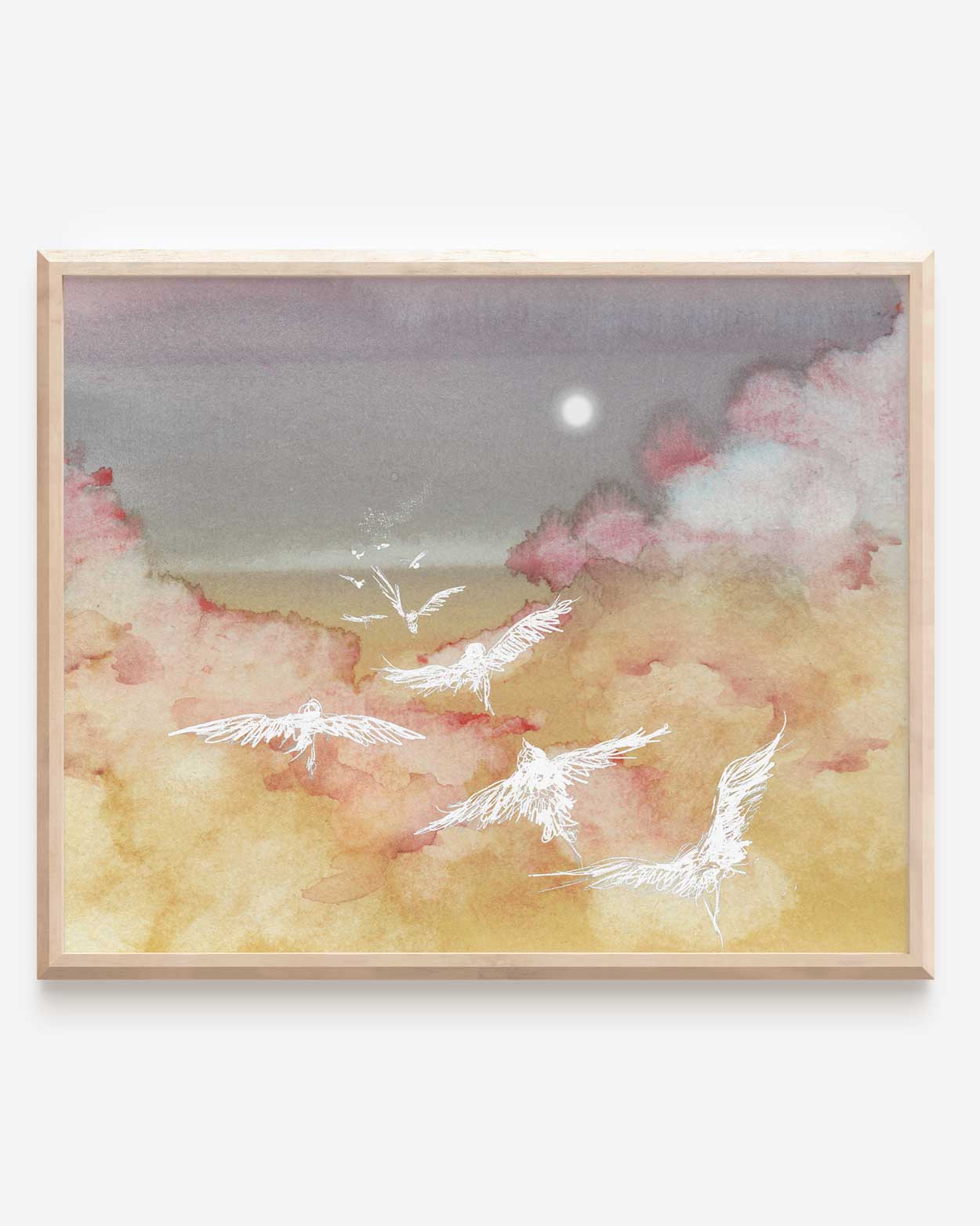 Birds