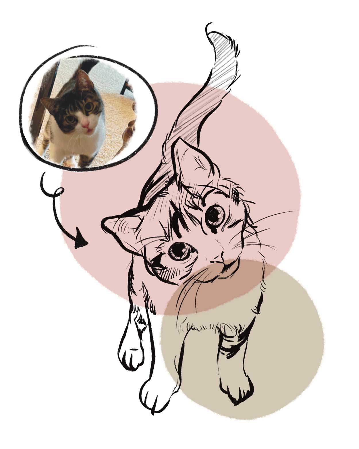 Custom Pet Drawing