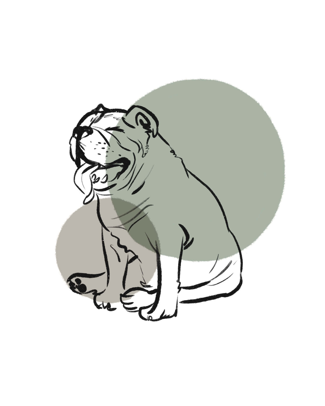 Bulldog