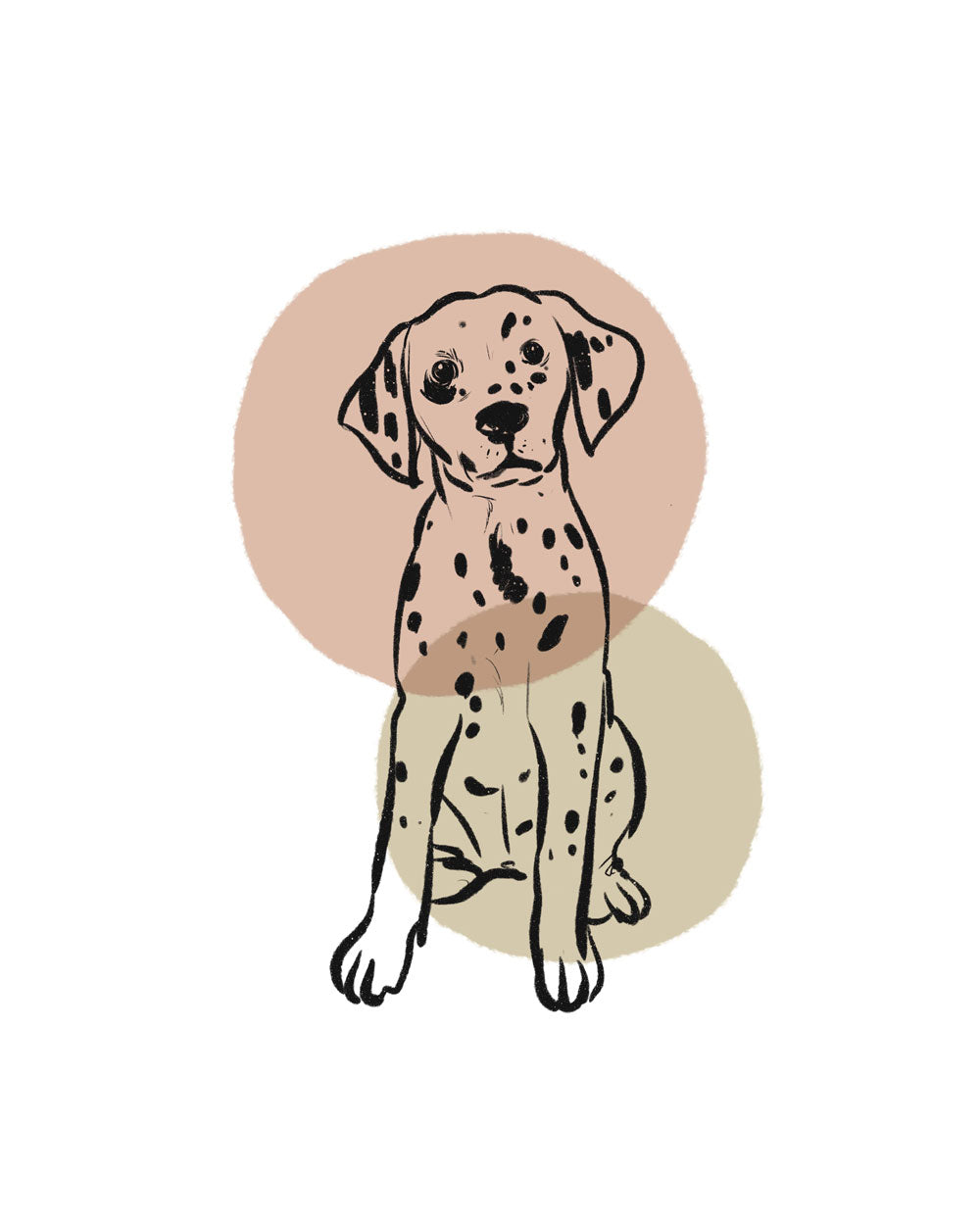 Dalmatian