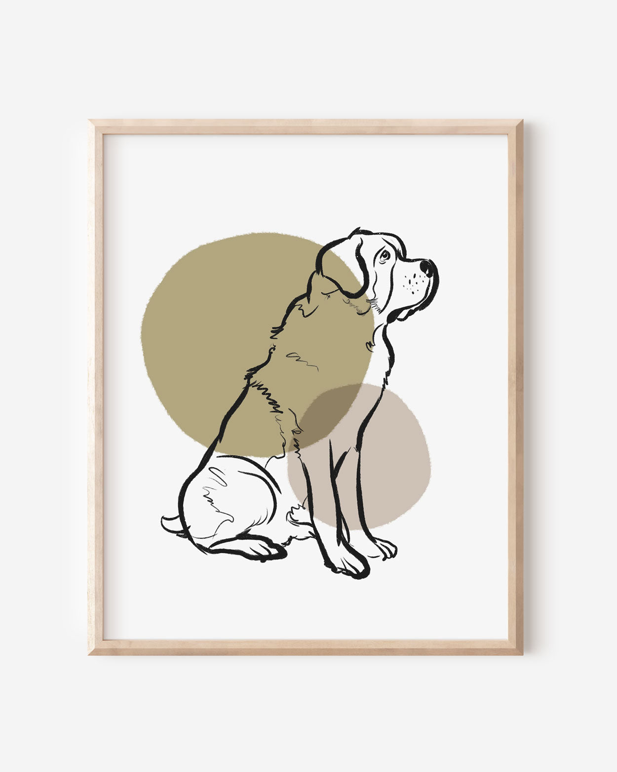 St. Bernard