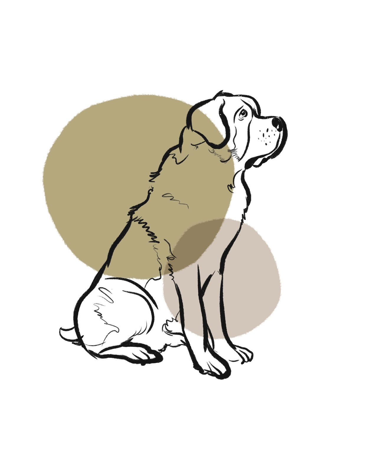 St. Bernard