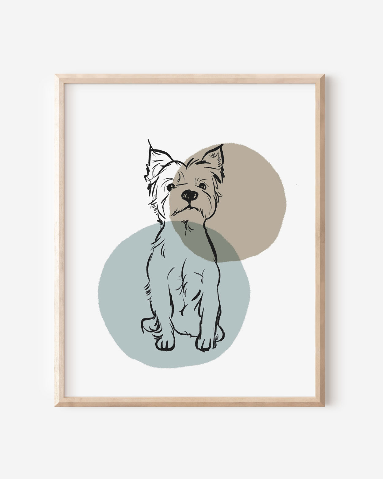 Yorkie