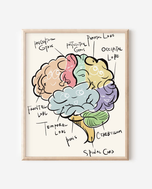 Brain
