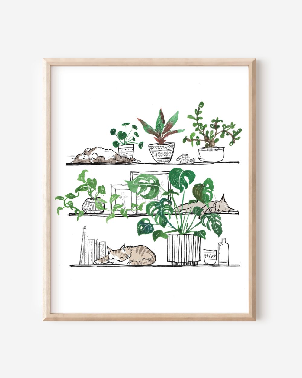 Plant Cat 3