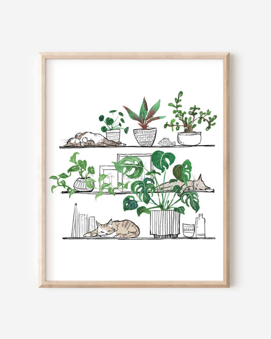 Plant Cat 3
